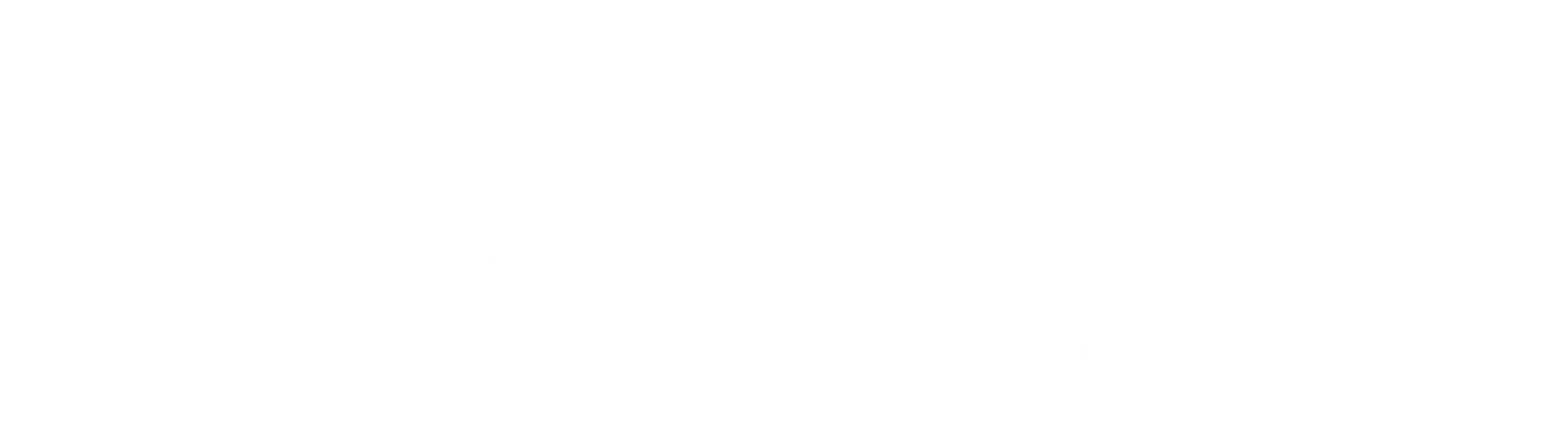 Facewise